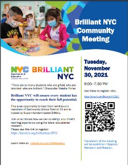Brilliant NYC Community Meeting